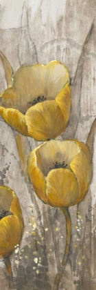 Picture of OCHRE TULIPS I
