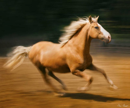 Picture of BLAZING HORSE I