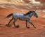 Picture of BLAZING HORSE II