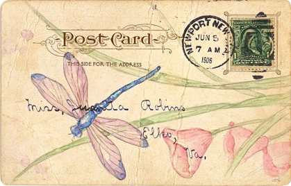 Picture of POSTCARD DRAGONFLY II