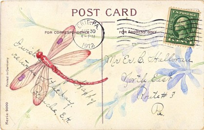 Picture of POSTCARD DRAGONFLY IV