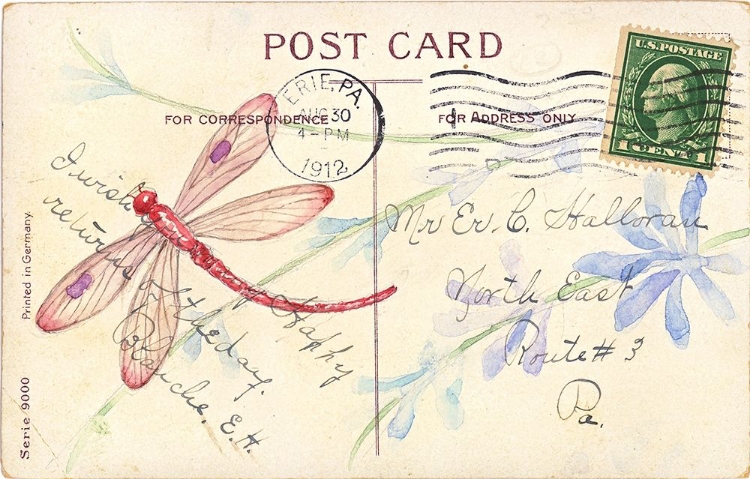 Picture of POSTCARD DRAGONFLY IV