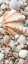Picture of SHELL MENAGERIE I