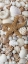Picture of SHELL MENAGERIE II