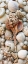 Picture of SHELL MENAGERIE III