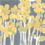 Picture of SUNNY BREEZE IV