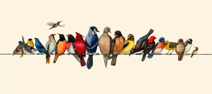 Picture of BIRD MENAGERIE III