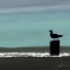 Picture of DUSKY SEA IV