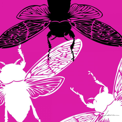 Picture of POP FLY II