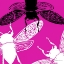 Picture of POP FLY II