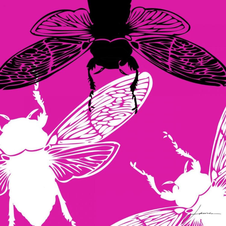 Picture of POP FLY II