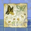 Picture of PAPILLON PLAID I