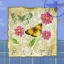 Picture of PAPILLON PLAID II