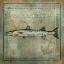 Picture of OCEAN FISH I