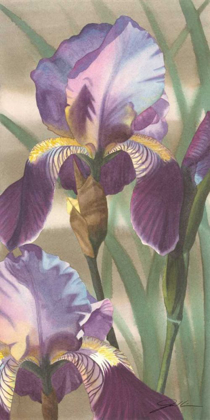 Picture of ASIAN IRIS I