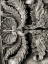 Picture of STONE CARVING VIII