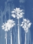 Picture of OASIS II
