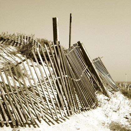 Picture of FENCES IN THE SAND I