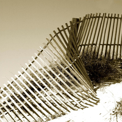 Picture of FENCES IN THE SAND III