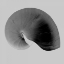 Picture of NAUTILUS TWIN II