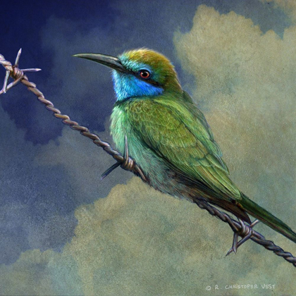 Picture of BEE EATER