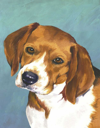 Picture of DOG PORTRAIT-BEAGLE