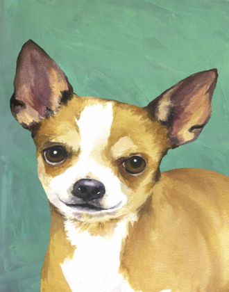 Picture of DOG PORTRAIT-CHIHUAHUA