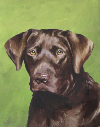 Picture of DOG PORTRAIT-CHOCOLATE