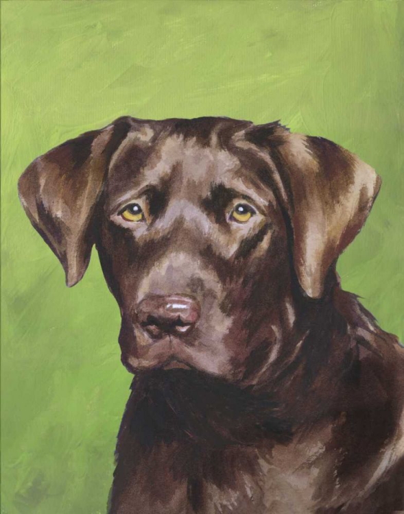 Picture of DOG PORTRAIT-CHOCOLATE