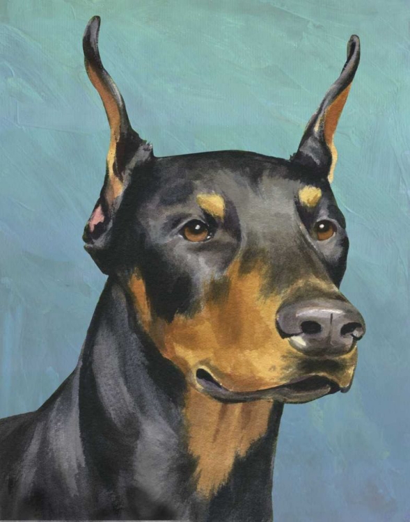 Picture of DOG PORTRAIT-DOBIE