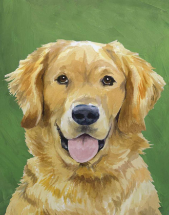 Picture of DOG PORTRAIT-GOLDEN