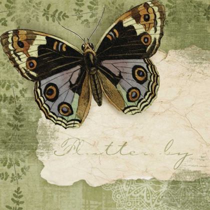 Picture of BUTTERFLY NOTES IV