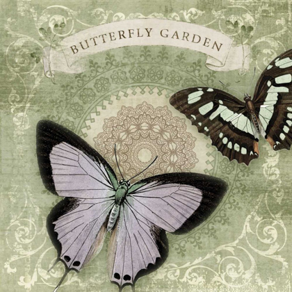 Picture of BUTTERFLY NOTES XII