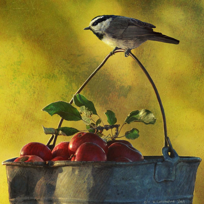 Picture of APPLES AND CHICKADEE