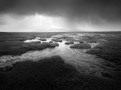 Picture of SCALE MOOR