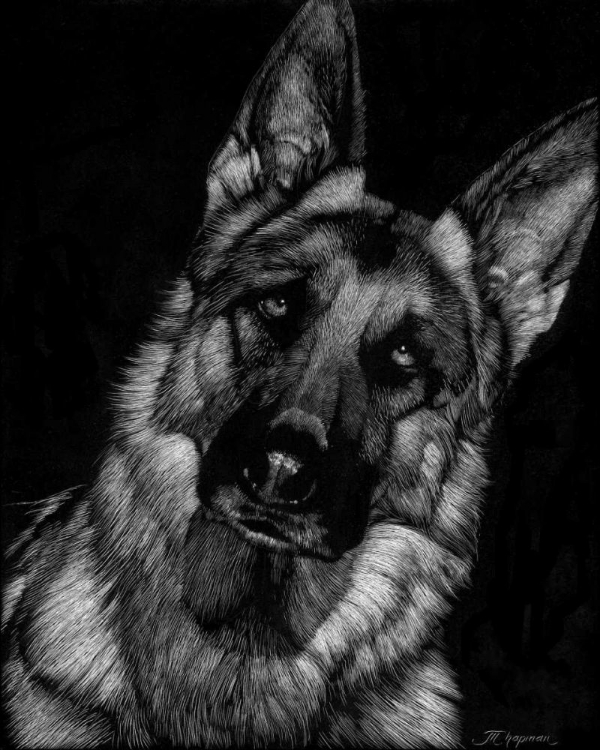 Picture of CANINE SCRATCHBOARD II