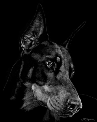 Picture of CANINE SCRATCHBOARD III