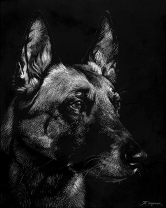 Picture of CANINE SCRATCHBOARD V