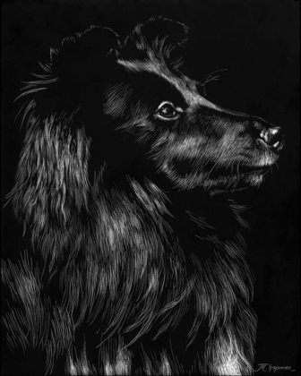 Picture of CANINE SCRATCHBOARD VI