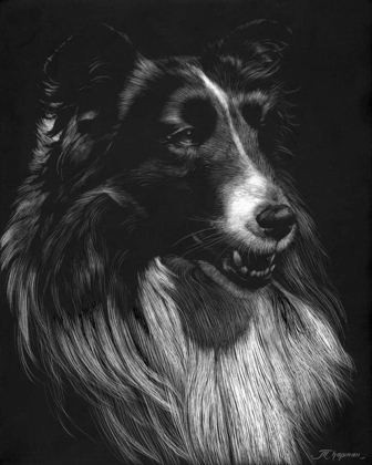 Picture of CANINE SCRATCHBOARD VII