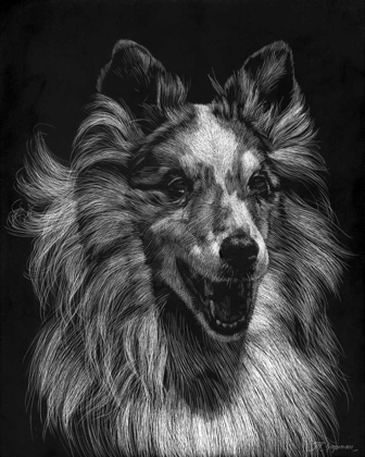 Picture of CANINE SCRATCHBOARD VIII