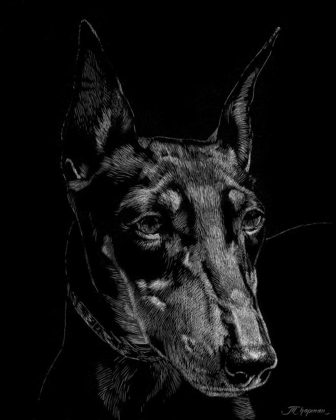 Picture of CANINE SCRATCHBOARD XIII