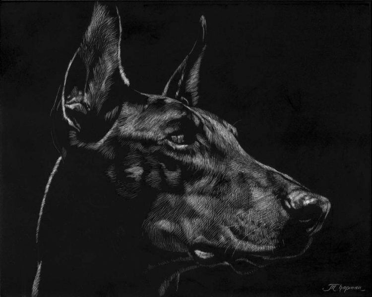 Picture of CANINE SCRATCHBOARD XVI