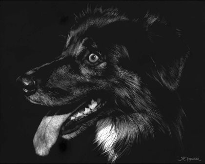 Picture of CANINE SCRATCHBOARD XIV