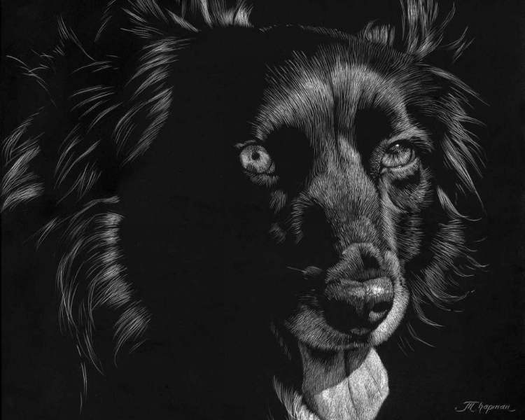 Picture of CANINE SCRATCHBOARD XXI