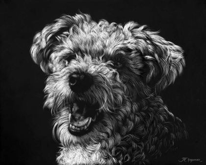 Picture of CANINE SCRATCHBOARD XXV