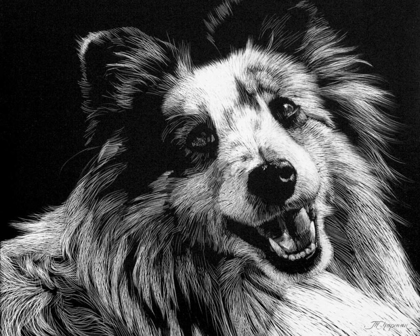 Picture of CANINE SCRATCHBOARD XXVI