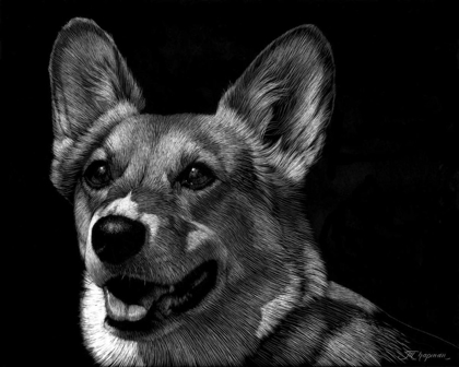 Picture of CANINE SCRATCHBOARD XXIX