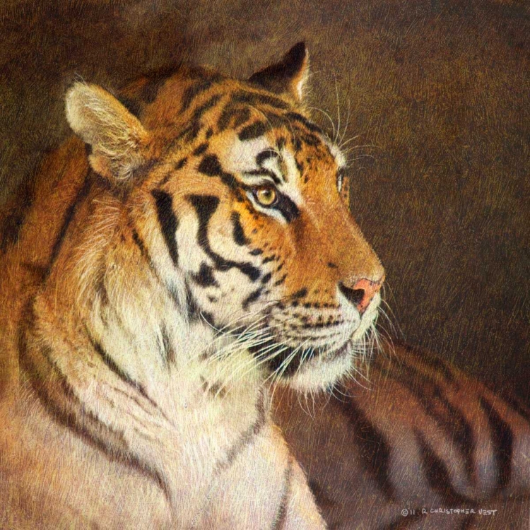 Picture of TIGER