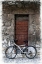 Picture of DOORS OF EUROPE VI